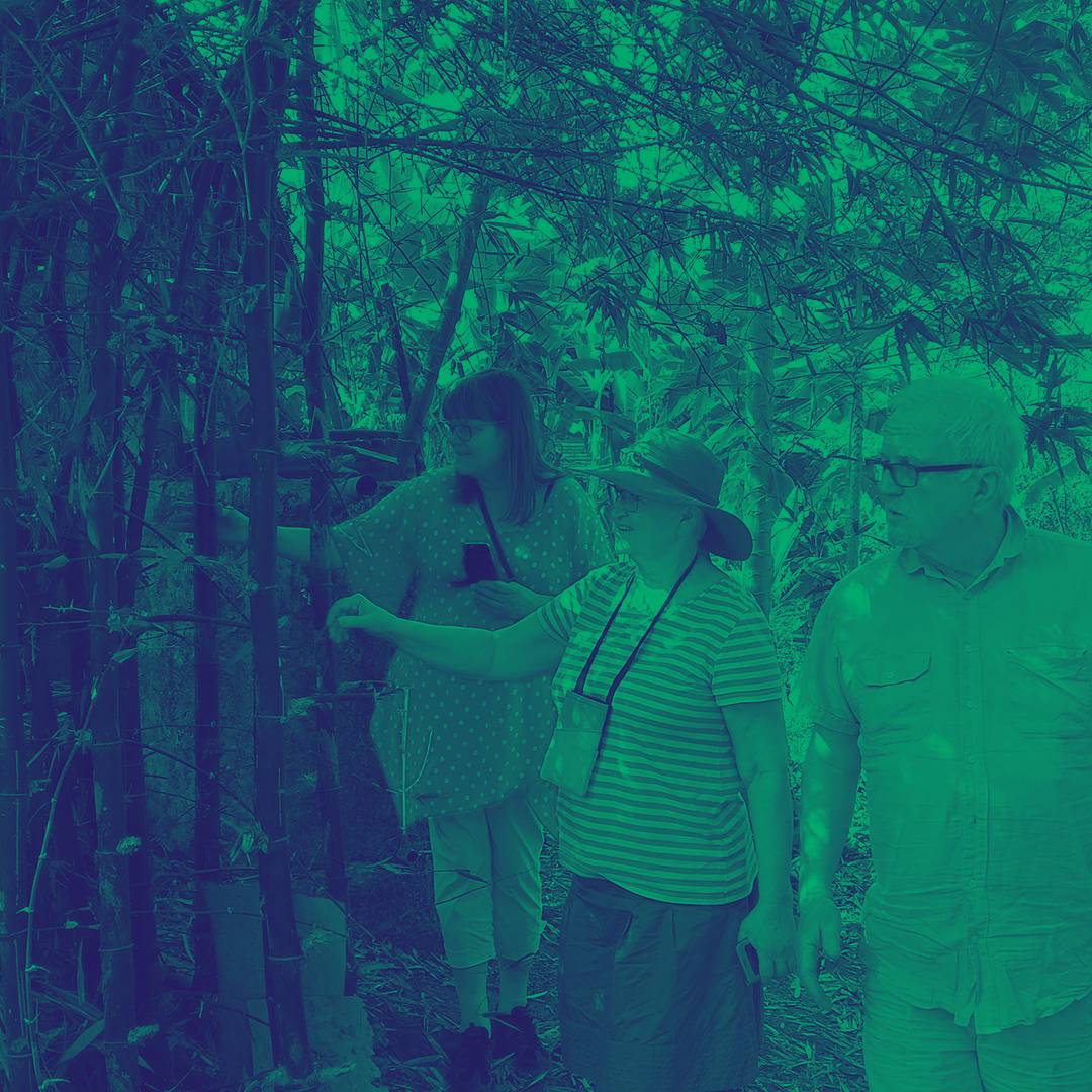Group & Nature