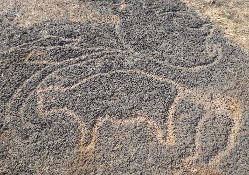 Discovering the Rich History of Konkan Petroglyphs